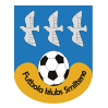 https://img.lzmhmy.com/img/football/team/259a1106a33b56d2bb3c458a62ffa2ea.png